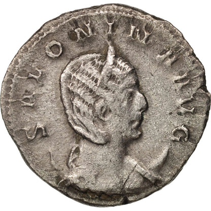 minca, 
  
  Salonín, 
  
  Antoninian