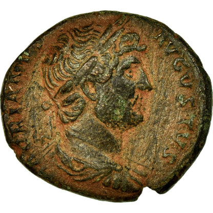 minca,
 
 Hadrian,
 
 Polovicu